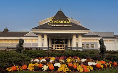 42 Years of Before & After: Sign Renovation Case Studies